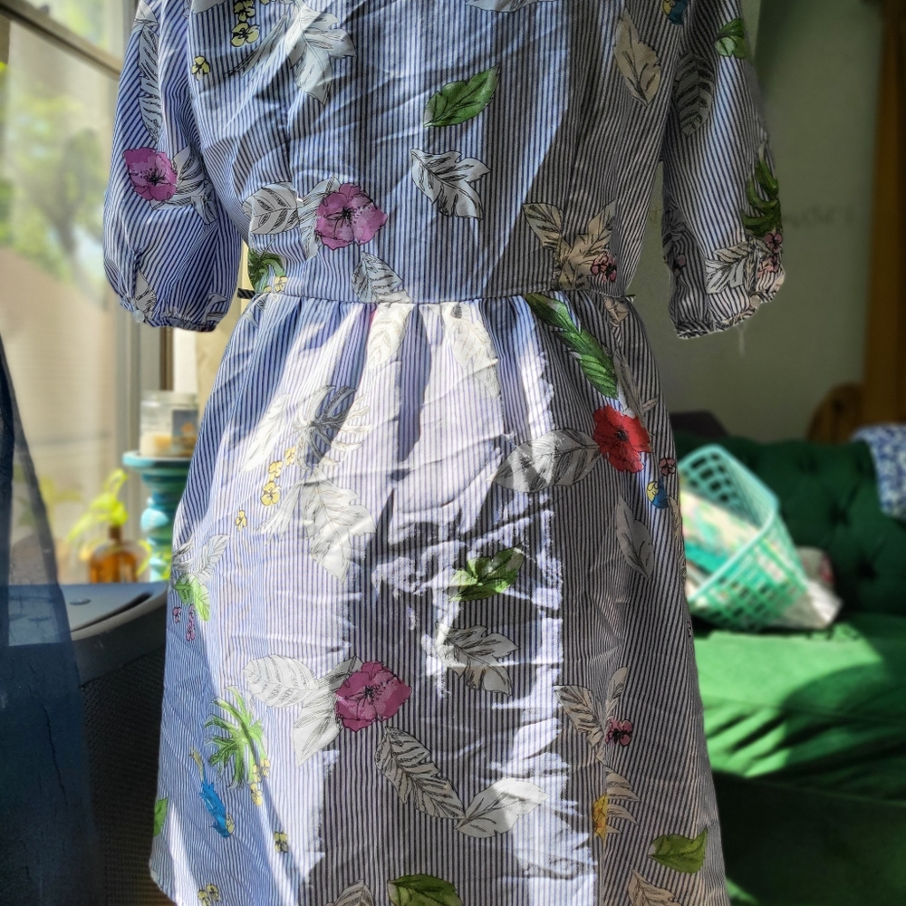 Striped Floral Button-Front Shirt Dress with Bird Print - Blue/White - Picture 4 of 4